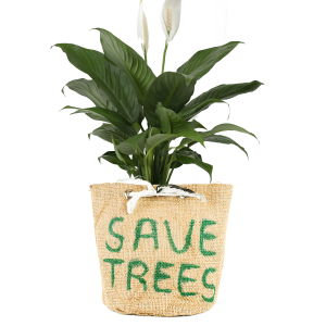 Plant Holder with Handle