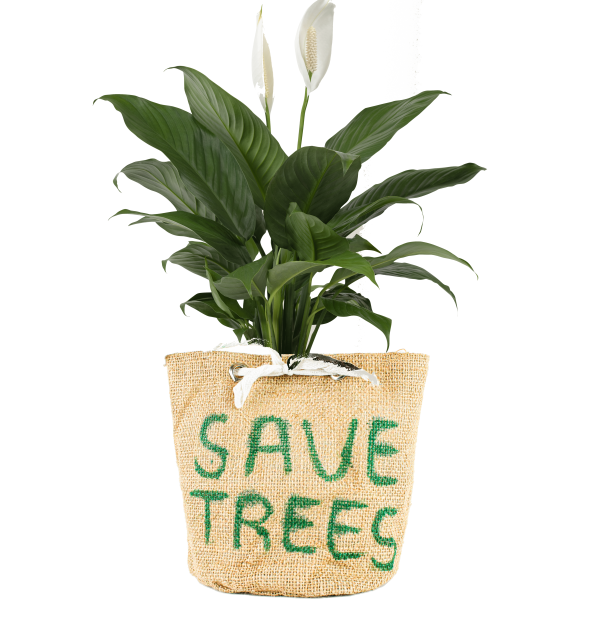 Plant Holder with Handle